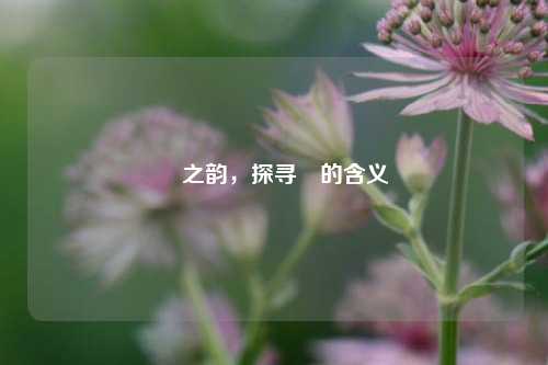 莯之韵，探寻莯的含义