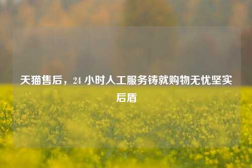 天猫售后，24 小时人工服务铸就购物无忧坚实后盾