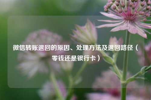 微信转账退回的原因、处理方法及退回路径(零钱还是银行卡)