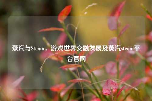 蒸汽与Steam，游戏世界交融发展及蒸汽steam平台官网
