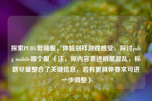 探索PUBG低端服,体验别样游戏感受,探讨pubg mobile哪个服 (注,原内容表述稍显混乱,标题尽量整合了关键信息,若有更具体要求可进一步调整)