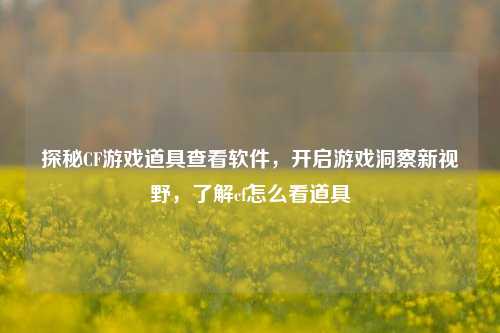 探秘CF游戏道具查看软件，开启游戏洞察新视野，了解cf怎么看道具