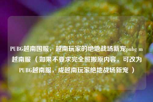 PUBG越南国服，越南玩家的绝地战场新宠pubg m越南服 （如果不要求完全照搬原内容，可改为PUBG越南服，成越南玩家绝地战场新宠 ）