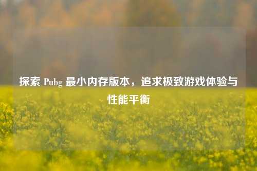 探索 Pubg 最小内存版本,追求极致游戏体验与性能平衡