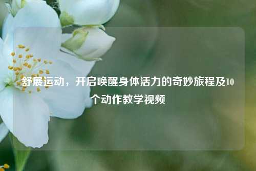 舒展运动,开启唤醒身体活力的奇妙旅程及10个动作教学视频