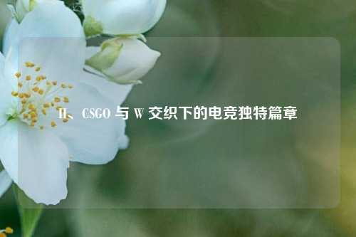 H、CSGO 与 W 交织下的电竞独特篇章