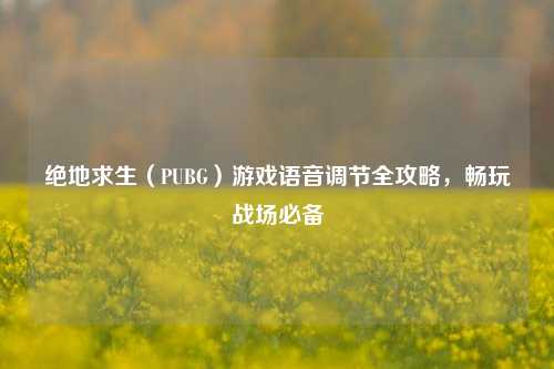 绝地求生（PUBG）游戏语音调节全攻略，畅玩战场必备