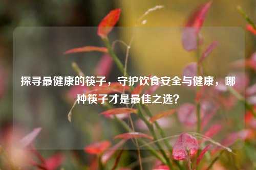 探寻最健康的筷子，守护饮食安全与健康，哪种筷子才是最佳之选？