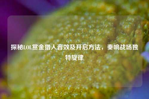 探秘LOL赏金猎人音效及开启方法，奏响战场独特旋律