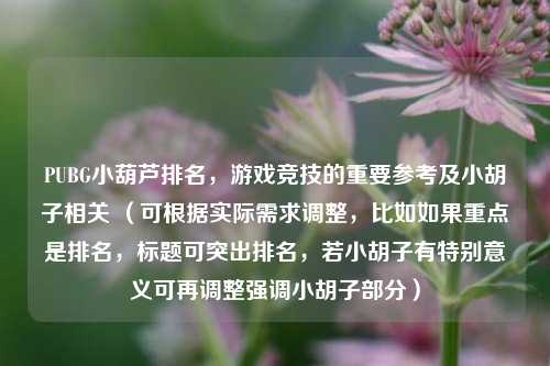 PUBG小葫芦排名,游戏竞技的重要参考及小胡子相关 (可根据实际需求调整,比如如果重点是排名,标题可突出排名,若小胡子有特别意义可再调整强调小胡子部分)