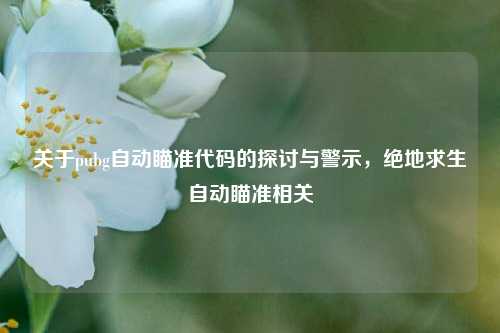 关于pubg自动瞄准代码的探讨与警示，绝地求生自动瞄准相关