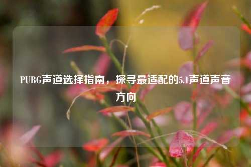 PUBG声道选择指南,探寻最适配的5.1声道声音方向