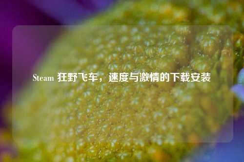 Steam 狂野飞车，速度与激情的下载安装