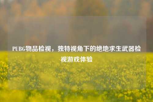 PUBG物品检视，独特视角下的绝地求生武器检视游戏体验