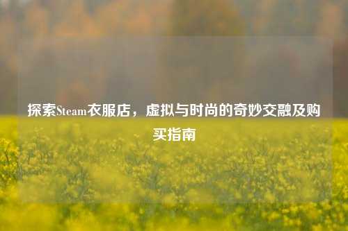 探索Steam衣服店,虚拟与时尚的奇妙交融及购买指南