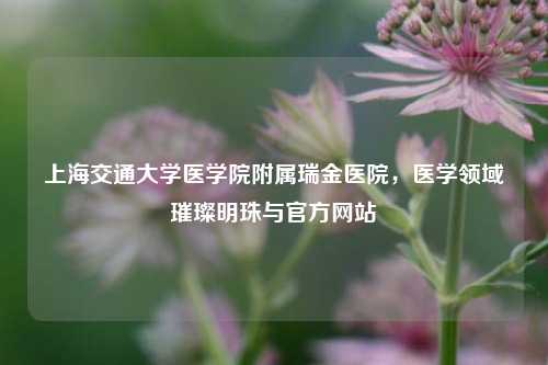 上海交通大学医学院附属瑞金医院，医学领域璀璨明珠与官方网站