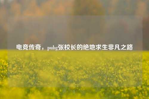 电竞传奇，pubg张校长的绝地求生非凡之路