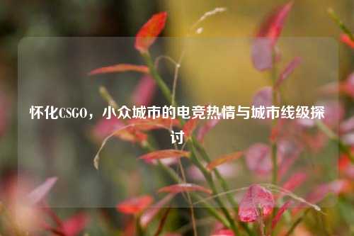 怀化CSGO,小众城市的电竞热情与城市线级探讨