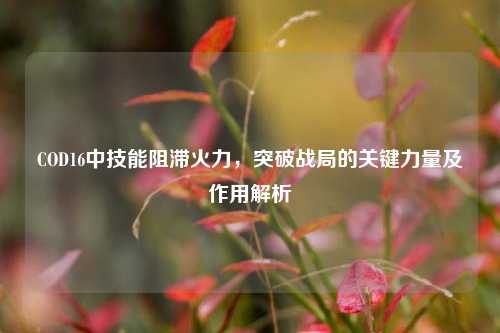 COD16中技能阻滞火力，突破战局的关键力量及作用解析