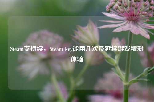 Steam支持续，Steam key能用几次及延续游戏精彩体验