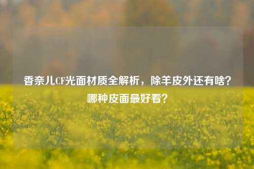 香奈儿CF光面材质全解析,除羊皮外还有啥?哪种皮面最好看?