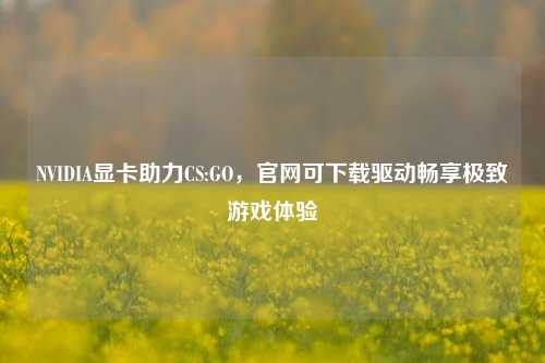 NVIDIA显卡助力CS:GO，官网可下载驱动畅享极致游戏体验