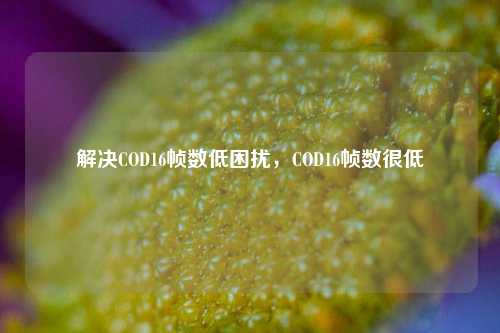 解决COD16帧数低困扰，COD16帧数很低