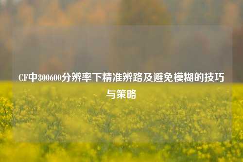CF中800600分辨率下精准辨路及避免模糊的技巧与策略