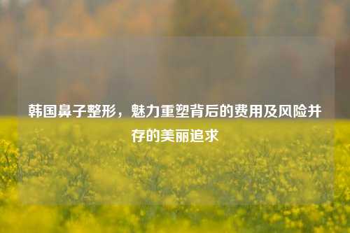 韩国鼻子整形，魅力重塑背后的费用及风险并存的美丽追求