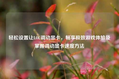 轻松设置让LOL调动显卡,畅享极致游戏体验及掌握调动显卡速度方法