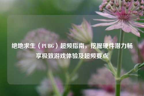 绝地求生（PUBG）超频指南，挖掘硬件潜力畅享极致游戏体验及超频要点