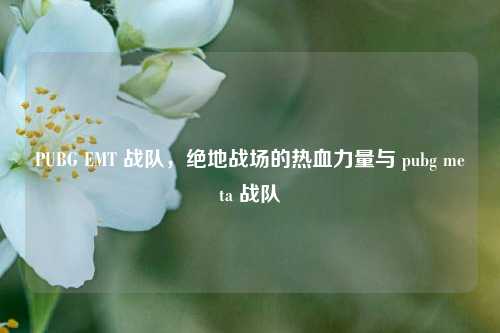 PUBG EMT 战队，绝地战场的热血力量与 pubg meta 战队