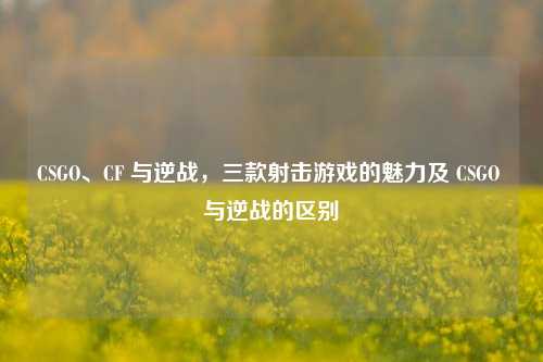 CSGO、CF 与逆战，三款射击游戏的魅力及 CSGO 与逆战的区别