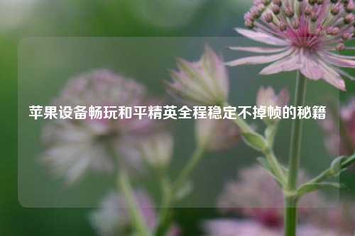 苹果设备畅玩和平精英全程稳定不掉帧的秘籍