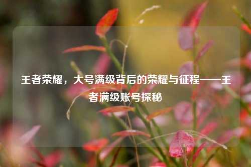 王者荣耀，大号满级背后的荣耀与征程——王者满级账号探秘
