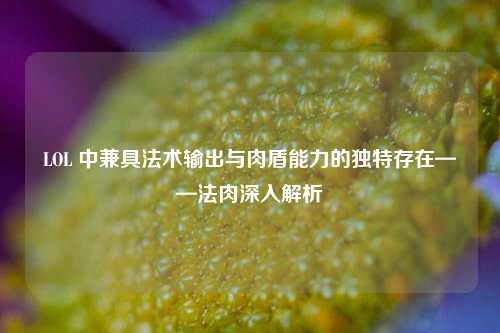 LOL 中兼具法术输出与肉盾能力的独特存在——法肉深入解析
