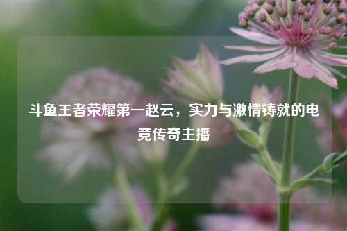 斗鱼王者荣耀第一赵云，实力与激情铸就的电竞传奇主播