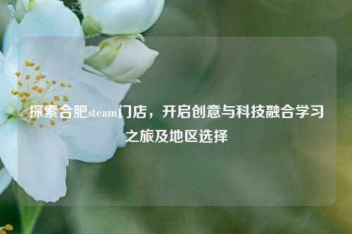 探索合肥steam门店,开启创意与科技融合学习之旅及地区选择
