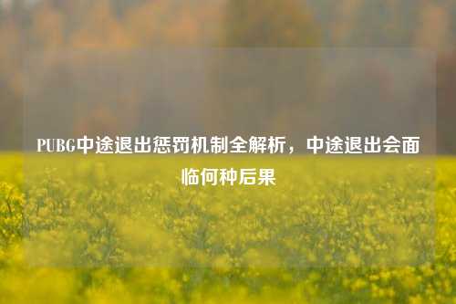 PUBG中途退出惩罚机制全解析，中途退出会面临何种后果