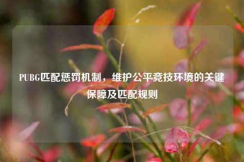 PUBG匹配惩罚机制，维护公平竞技环境的关键保障及匹配规则