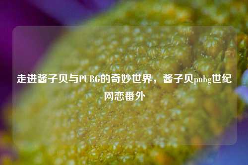 走进酱子贝与PUBG的奇妙世界,酱子贝pubg世纪网恋番外