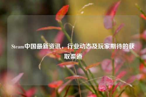 Steam中国最新资讯，行业动态及玩家期待的获取渠道