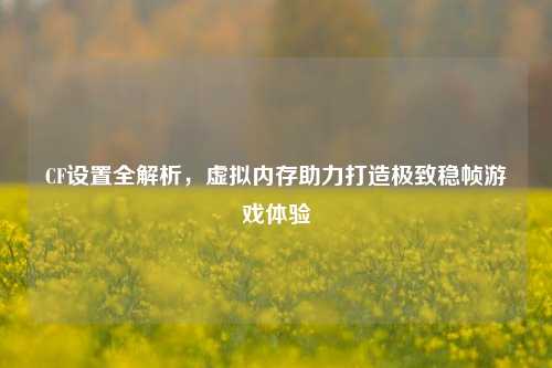 CF设置全解析,虚拟内存助力打造极致稳帧游戏体验