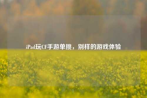 iPad玩CF手游单挑，别样的游戏体验