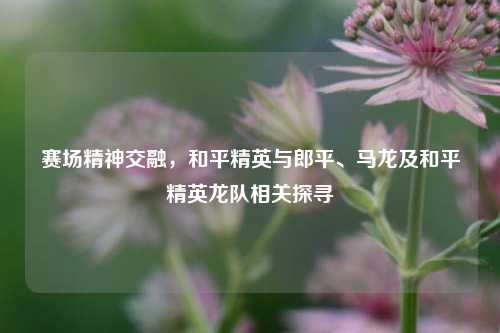 赛场精神交融，和平精英与郎平、马龙及和平精英龙队相关探寻
