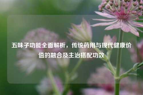 五味子功能全面解析，传统药用与现代健康价值的融合及主治搭配功效