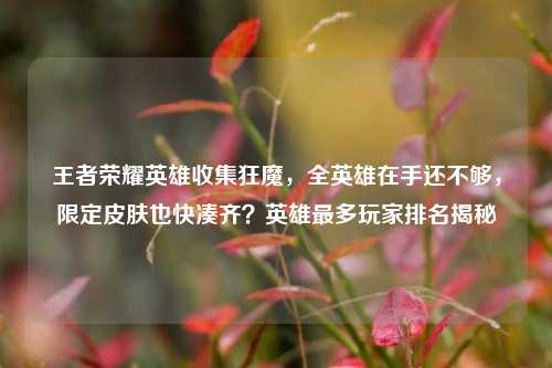 王者荣耀英雄收集狂魔，全英雄在手还不够，限定皮肤也快凑齐？英雄最多玩家排名揭秘