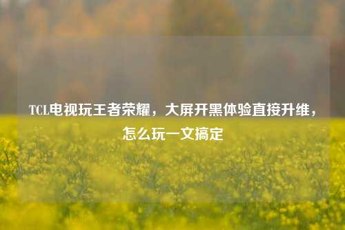 TCL电视玩王者荣耀,大屏开黑体验直接升维,怎么玩一文搞定