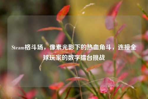 Steam格斗场，像素光影下的热血角斗，连接全球玩家的数字擂台挑战