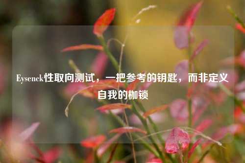 Eysenck性取向测试，一把参考的钥匙，而非定义自我的枷锁